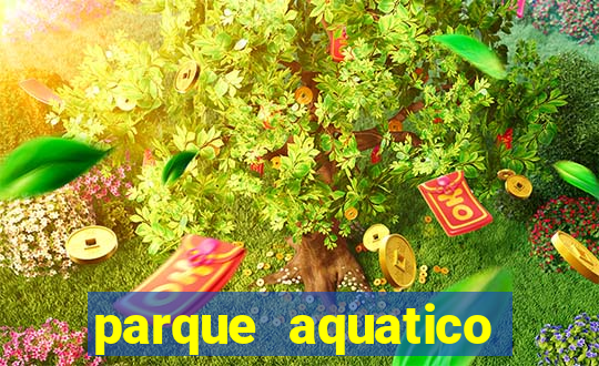 parque aquatico tina rolf salvador bahia